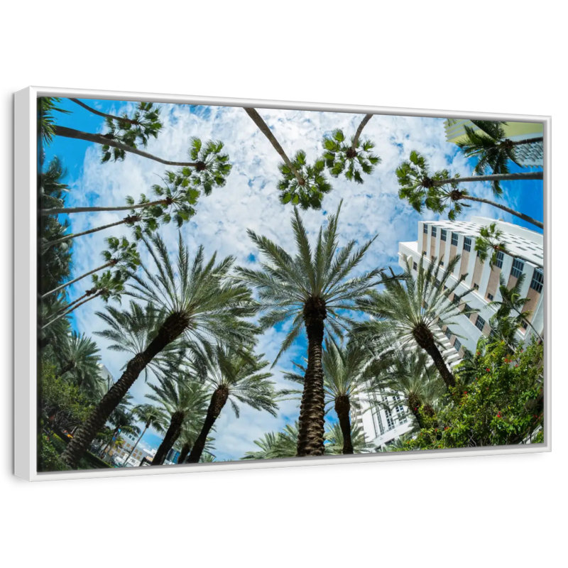 Palmiers de Miami, Cadre flottant blanc, 31 po x 21 po