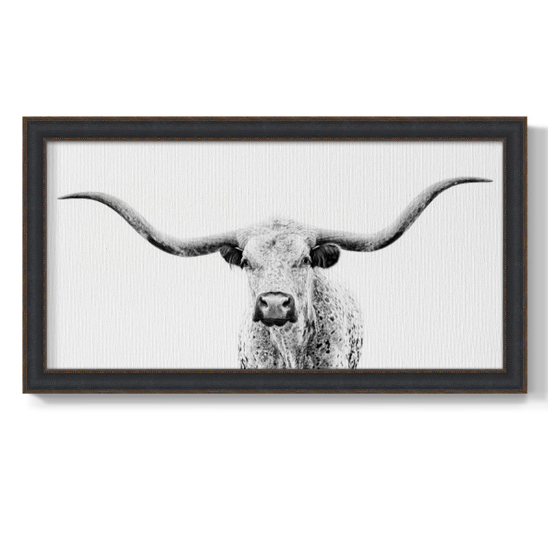 " Longhorn Gaze ", 29" H x 53" W x 2.5" D
