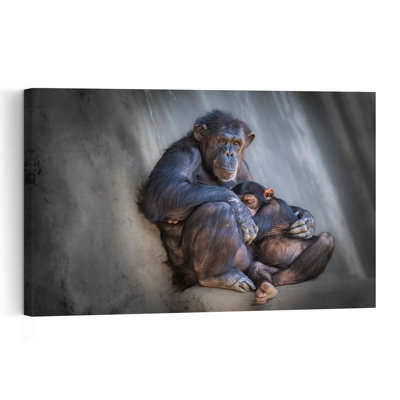 Mother And Baby Chimpanzee Peaceful Contemporary Monkey Nature Wildlife Wall Art Print by Jeffrey C. Sink - 1 Piece Wrapped Canvas Wall Art