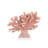 Fire Coral Set Of 2