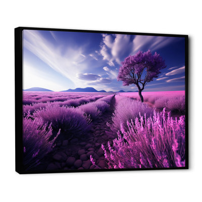 France Lavender Fields Symphony - impression