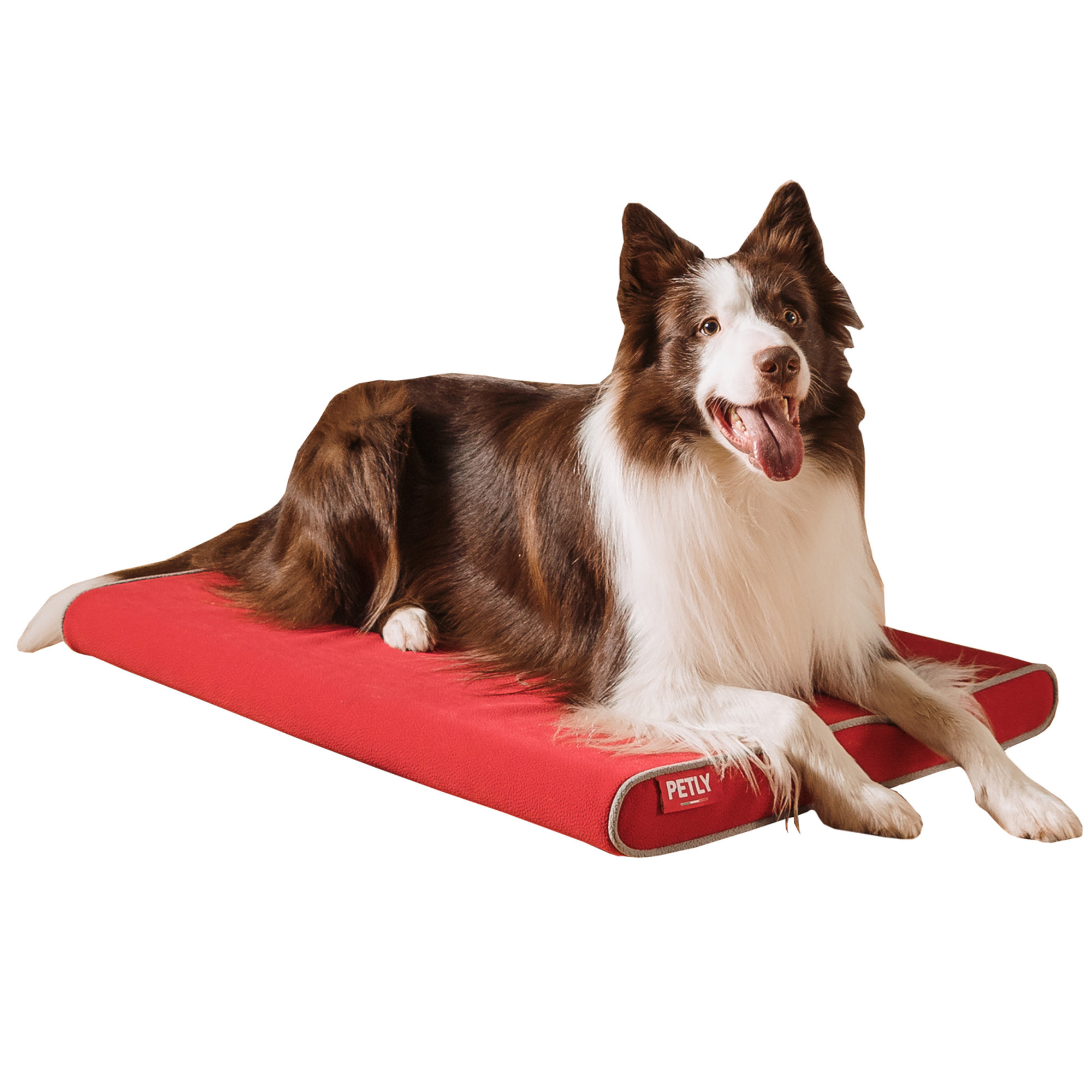 Microfibre pet mat best sale