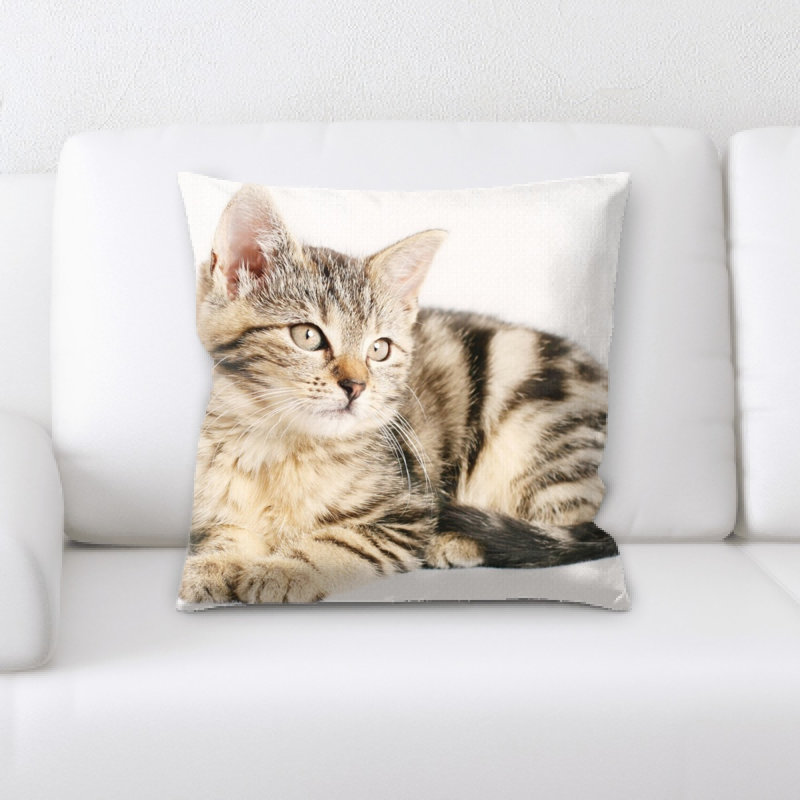 Coussin pour chat