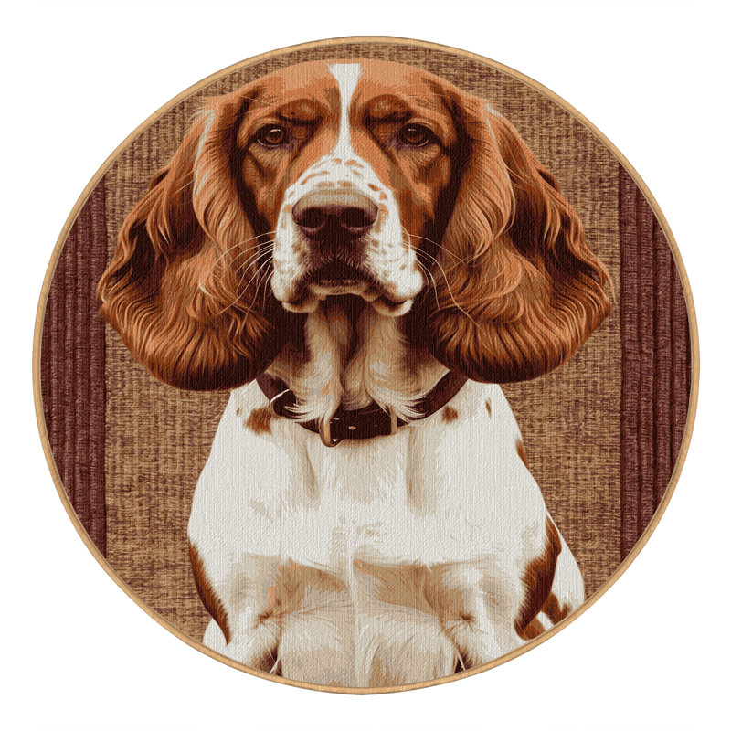  Tapis lavable pour chien Setter irlandais, Rond 4 pi