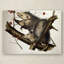 « virginy opossum » par john james audubon, reproduction d’art sur toile tendue-2089552101