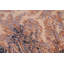 JeVon Wool Oriental Indoor Rug