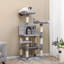143cm H Cat Tree-605579363