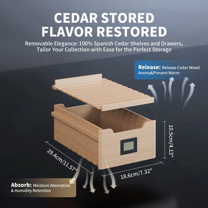 Electric Cigar Humidor With Thermostat, Cooling & Heating Humidor Cabinet