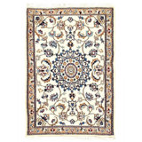 Raquez Hand Woven Cotton and Wool Oriental Area Rug