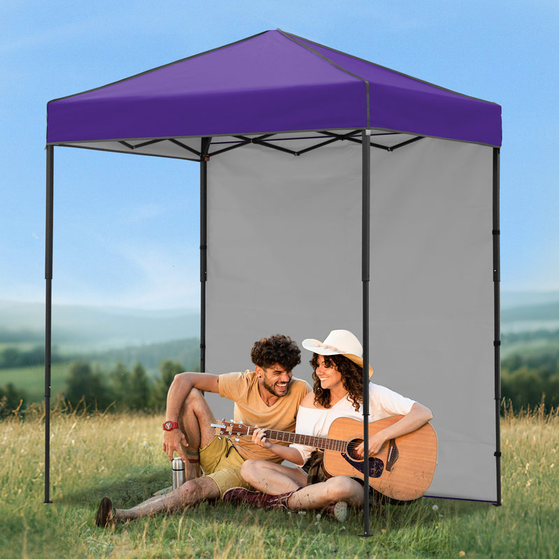 Tente d'auvent 6 x 4, auvent escamotable robuste avec paroi latérale, Mauve