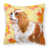 Cavalier Spaniel