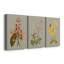 «Botanical Array I», ensemble de 3 impressions sur toile tendue-1801809791