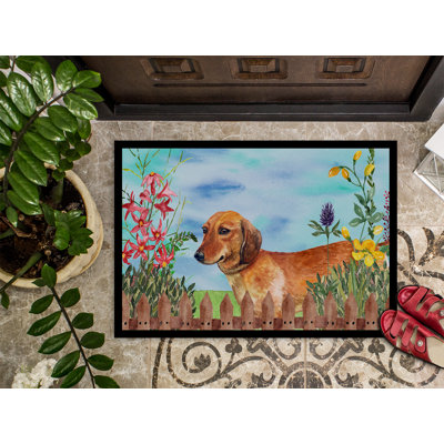 Non-Slip Outdoor Doormat