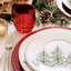 Natalia Glass Wine Glass
