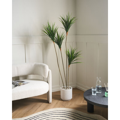 165cm Faux Palm Plant in Pot