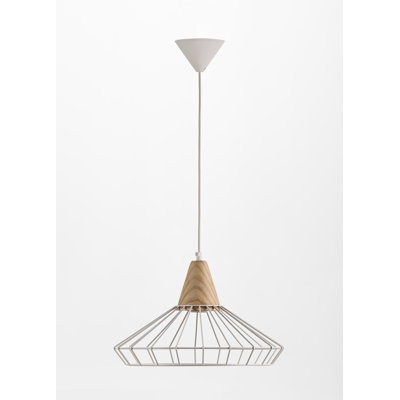 Oden 1 - Light Cone Pendant