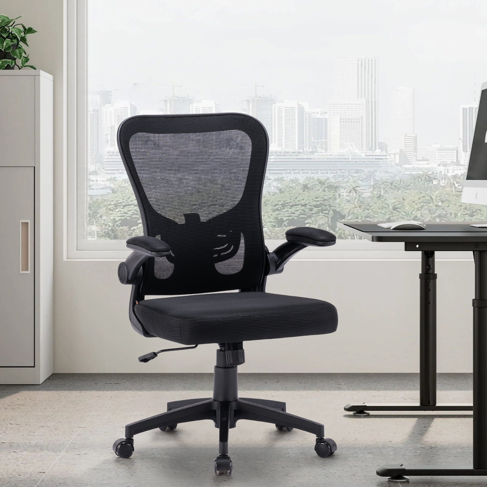 Inbox Zero Ergonomic Home Office Mesh Task Chair Desk Chair & Reviews ...