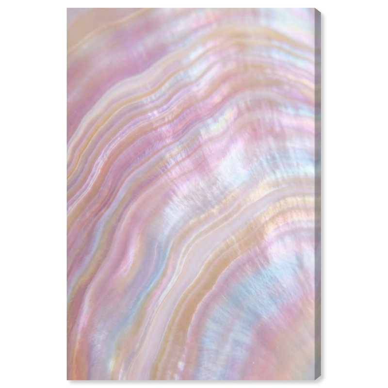 Blush Seashell Print by Oliver Gal, 15"H x 10"W, Gallery Wrapped