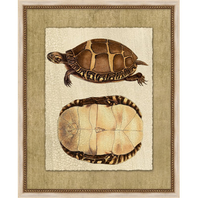 Neutral Turtle 1 Painting