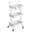 Rosilyn Metal Bar Cart-1304335226
