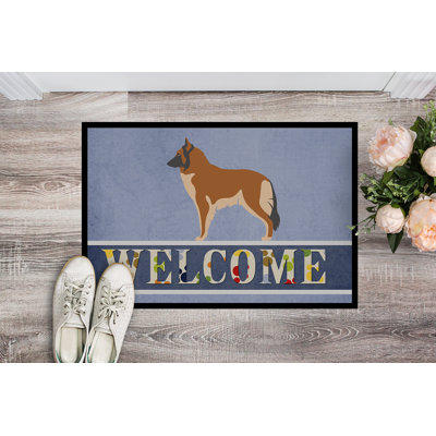 Non-Slip Outdoor Doormat