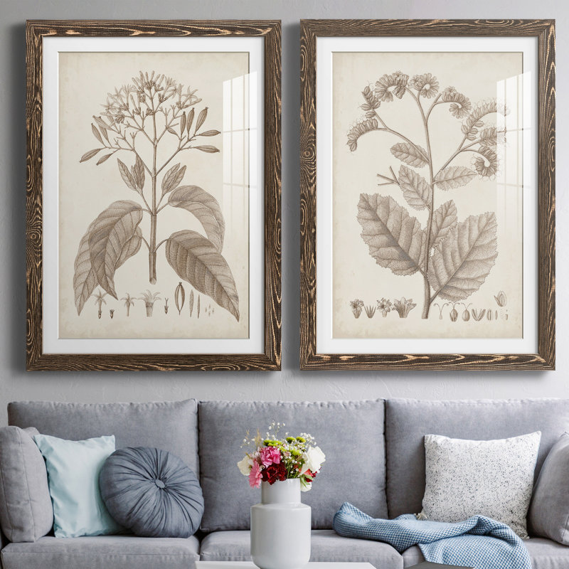 Antique sépia botanicals III - ensemble de 2 reproductions d'art sur papier encadré, H 31,5 po x l 47 po x P 1,5 po