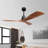 Keevagh Ceiling Fan