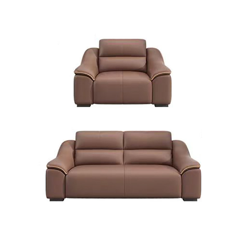 Simple elegant comfortable sofa set