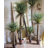Faux Palm Tree in Pot-2111387654