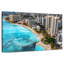 Gillard Waikiki Gillard Coastline-108817376