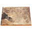 Carreau de céramique pour mur et plancher 8 "x 8" Bond Tile-37060914