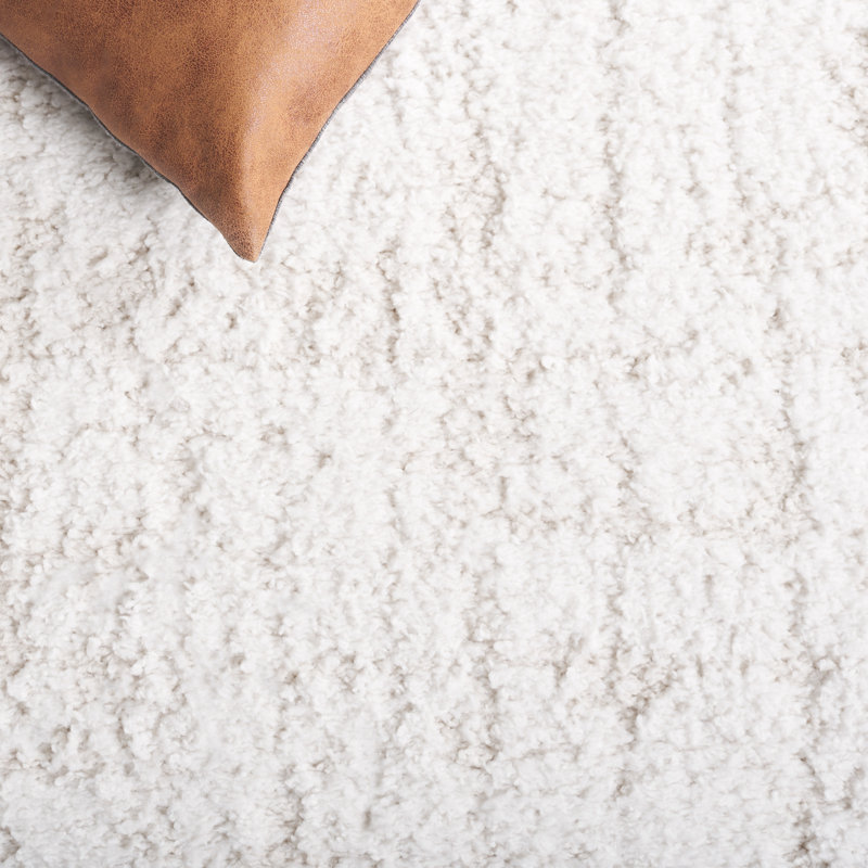 Ivory and Light Beige Rectangular Shag Area Rug