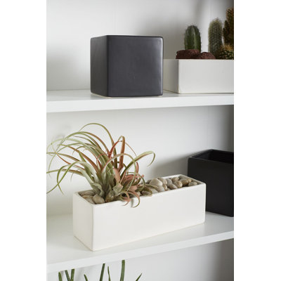 Sula Ceramic Pot Planter