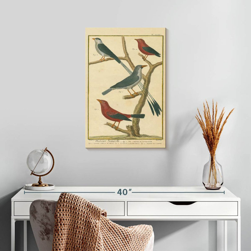 Brampt Bird Drawing I, 24" H x 16" W