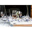 Waterbury Red Wine Glass