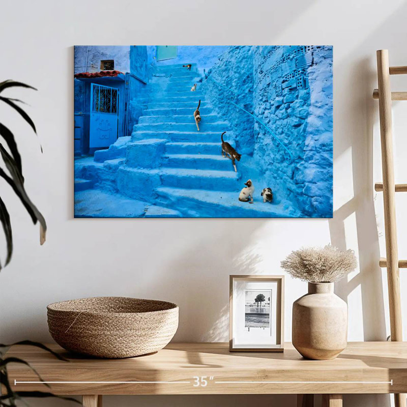 Chats Brampt Chefchaouen, H 16 po x l 24 po