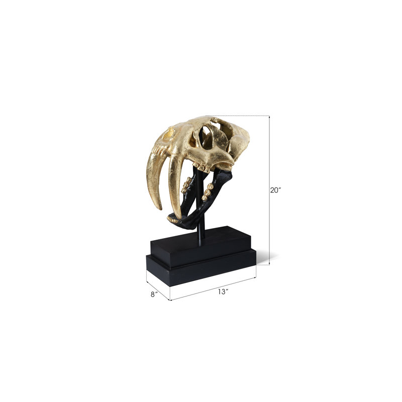 Saber Tooth Tiger Skull, Black/Gold