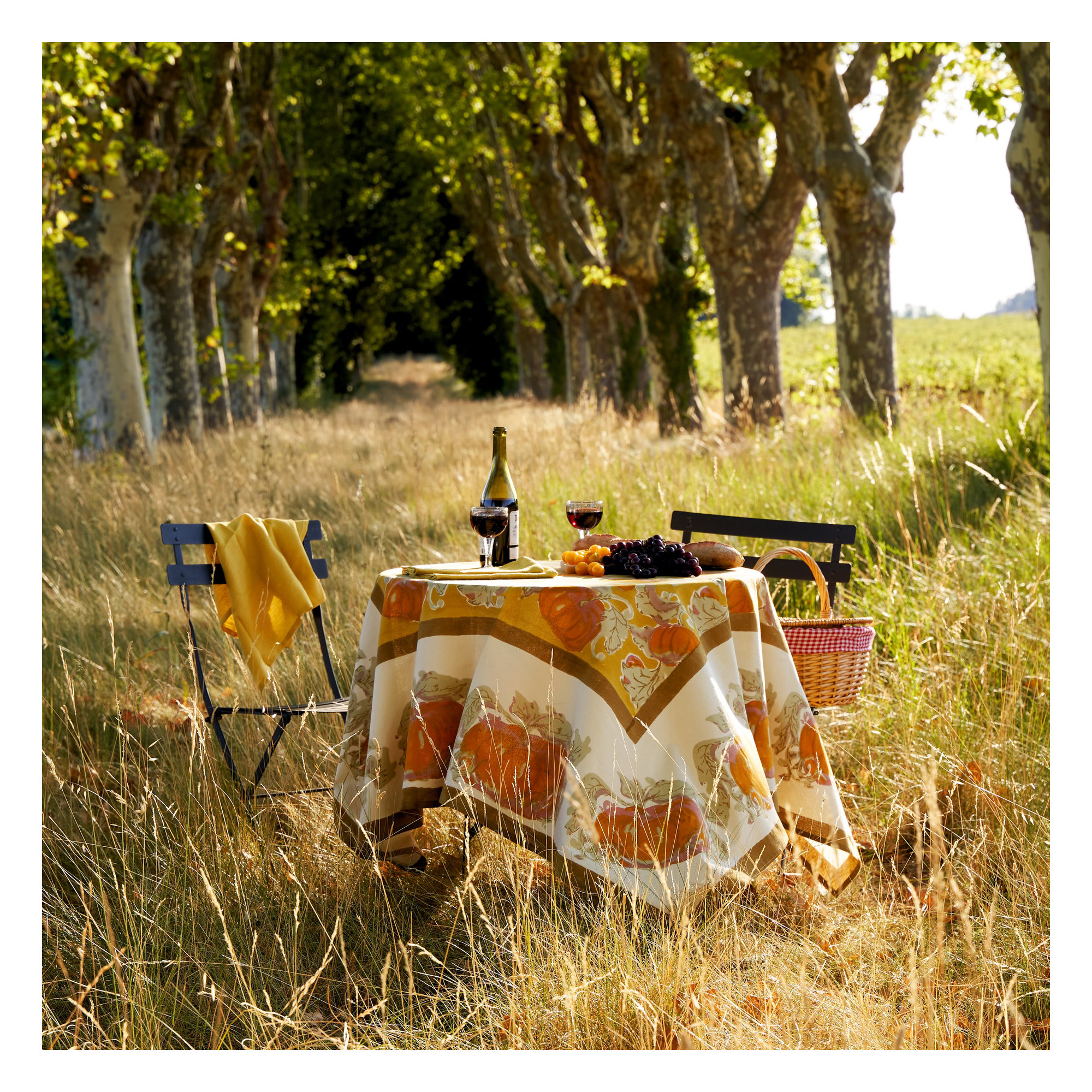 Pumpkin Tablecloth in Orange & Mustard, 59" L x 59" W, Yellow