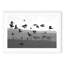Estuary - Picture Frame Photograph on Paper -74856178-87378969