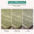 Indoor Rug-86184008
