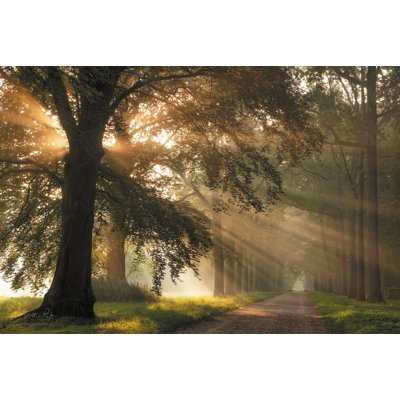 " First Day Of Autumn " by Martin Podt