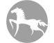 Christopher Knight Home logo