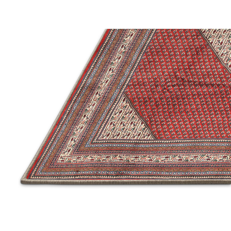 Tapis traditionnel rouge / brun / beige Digrazia, Rectangle 5 pi x 7 pi
