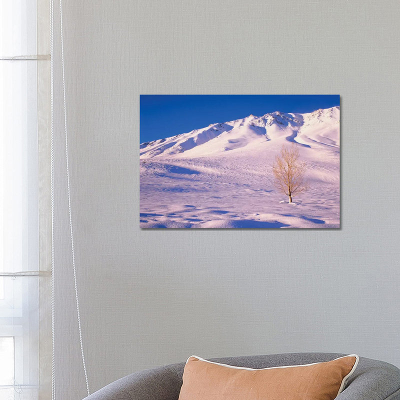 Long Valley. Lone Elm Tree On Snow-covered Hillside. by Jaynes Gallery - Wrapped Canvas Gallery-Wrapped Canvas Giclée