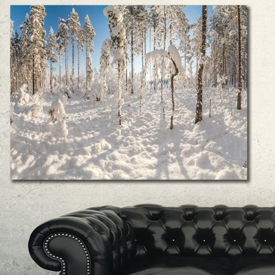 " Winter Snow Covered Wood "