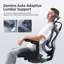 SIHOO Office Chair with Headrest-2075072776-2075203388