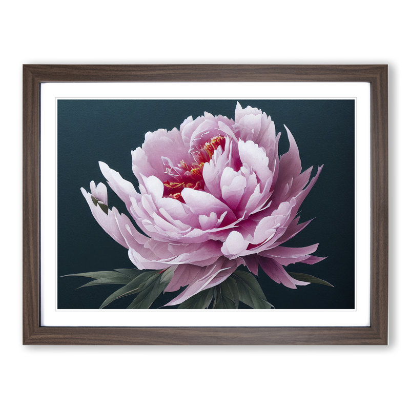 Marvellous Peony Flower - Framed Print, 25cm H x 34cm W x 2cm D, Walnut