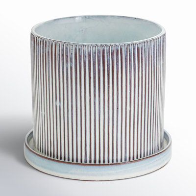 Asberry Ceramic Pot Planter