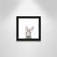 Art encadré en lapins forestières-48188934-48188939
