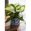 Vase de table en céramique Blairwood-2073909127